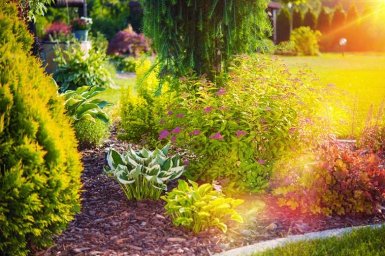Transform Your Outdoor Oasis with Premium Residential Garden Services in Sydney